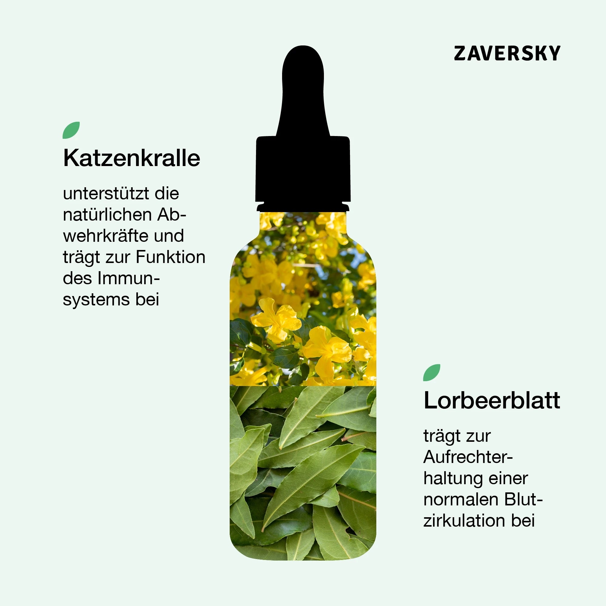 ZAVERSKY SCHWUNGKRAFT CompleteZ – Für mehr körperliches Wohlgefühl bei Apotheke Zaversky