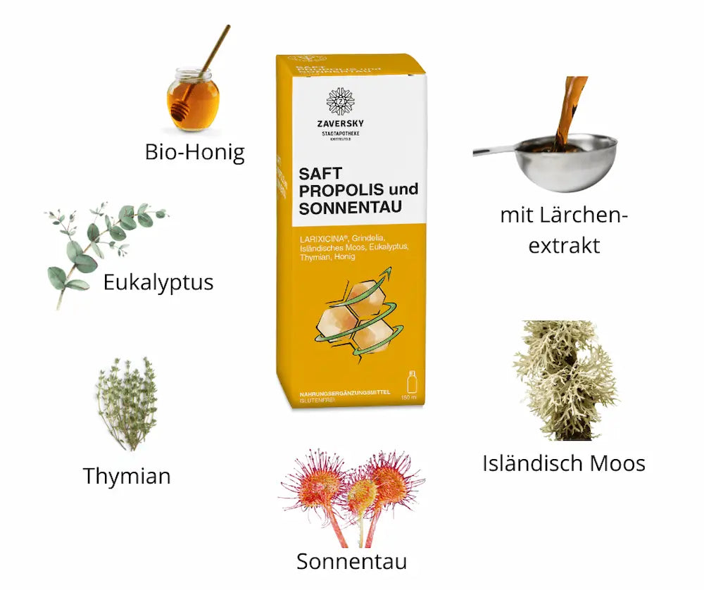 Saft Propolis und Sonnentau in gelber Faltschachtel der Zaversky Stadtapotheke mit Zutaten Bio-Honig, Eukalyptus, Thymian, Sonnentau, Isländisch Moos und Lärchenextrakt, 150 ml, glutenfrei