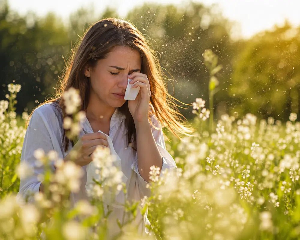 Allergie & Heuschnupfen – endlich durchatmen - Apotheke Zaversky