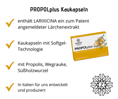 PROPOLplus Kaukapseln mit Lärchenextrakt, Propolis, Wegrauke und Süßholzwurzel bei Apotheke Zaversky