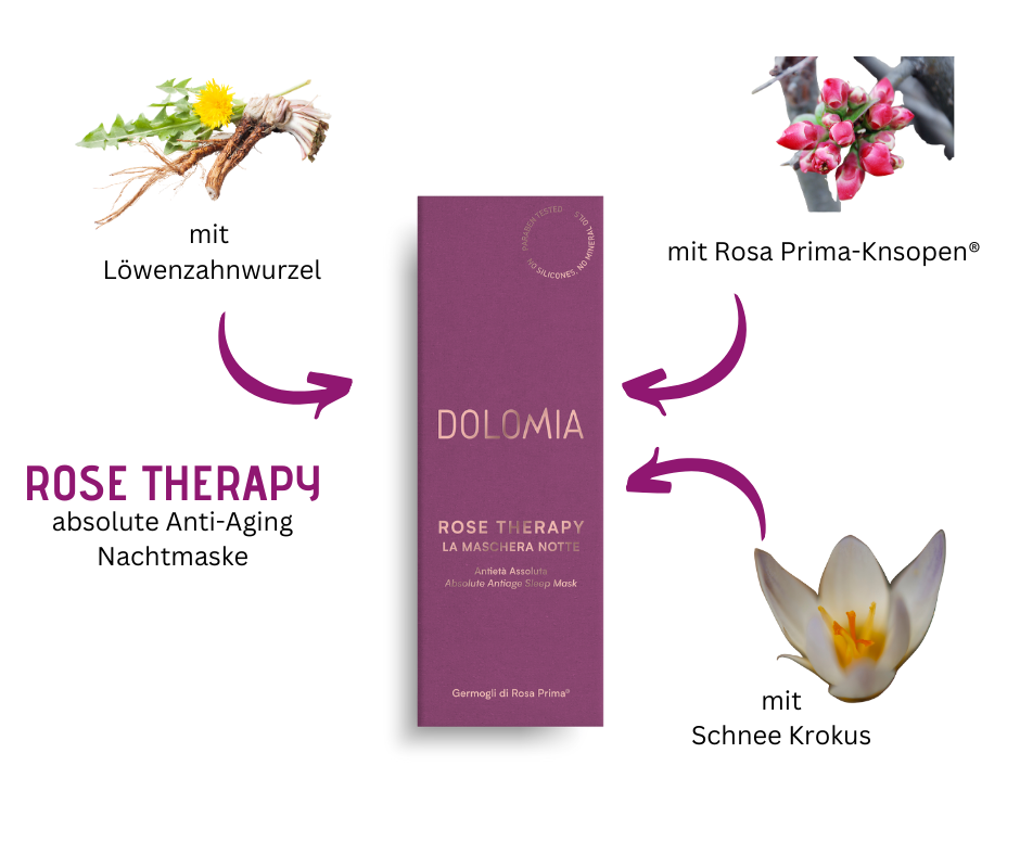 Rose Therapy - absolute Anti-Aging Nachtmaske von Dolomia