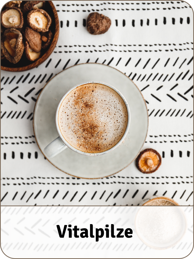 Apotheke Zaversky Vitalpilze